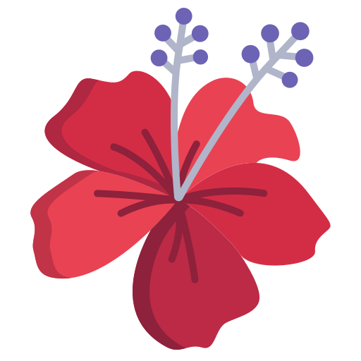 hibiscus
